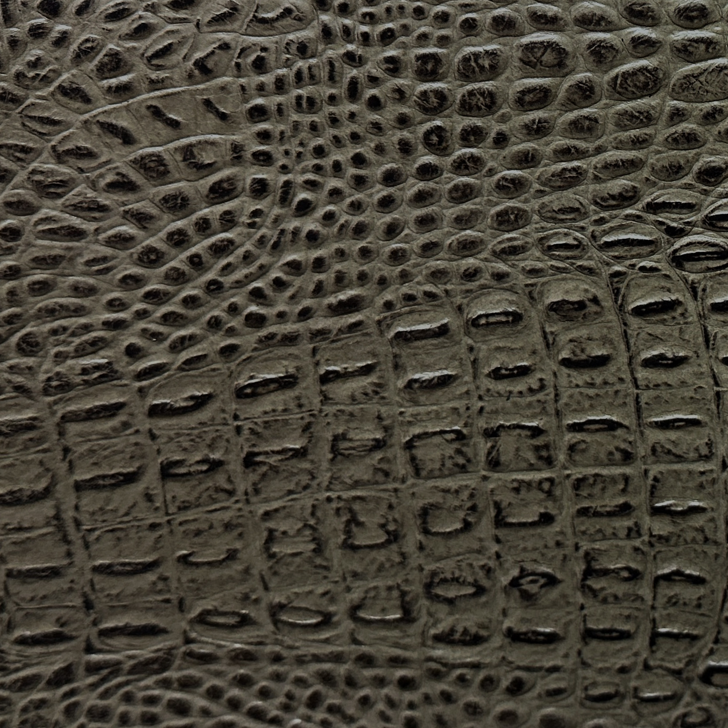Diva Taupe Croc